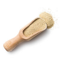 ingredients_transparent_02 /wp-content/uploads/2017/05/ingredients_transparent_02.png