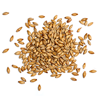 ingredients_transparent_03 /wp-content/uploads/2017/05/ingredients_transparent_03.png